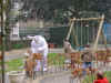 DSC02094.JPG (153235 bytes)